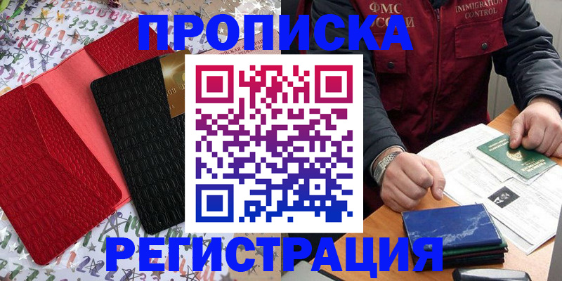 прописка штамп в Жердевке